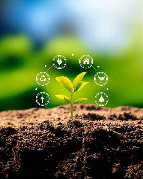 Environnement et développement durable